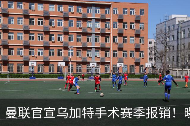 曼联官宣乌加特手术赛季报销！曝下笔引援人选，不会8000万买铁腰
