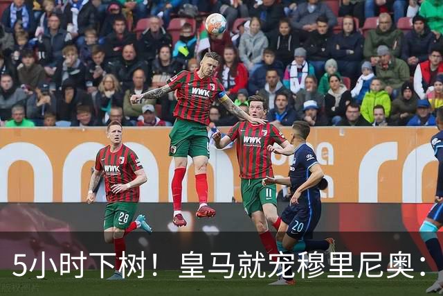 5小时下树！皇马就宠穆里尼奥：第5名新援到位，还有3大目标